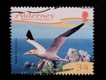 [Seabirds, ประเภท JU]