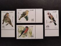 [Birds, type ALR]