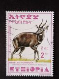 [Menelik´s Bushbuck, typ AZF19]