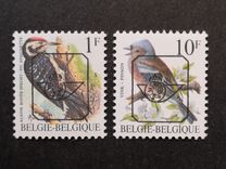 [Birds, Вид BNH]