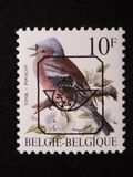 [Birds, Вид BNI]