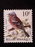 [Birds, Вид BNI]