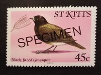 [Birds, Scrivi AJ]
