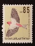 [Songbirds, type AUM]