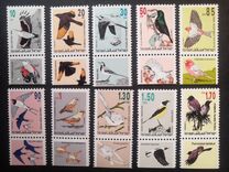 [Songbirds, Вид AUG]
