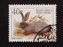 [Endangered Fauna, type ADT]