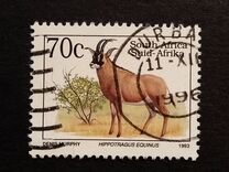 [Endangered Fauna, type ADY]