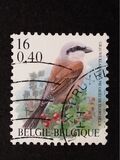 [Birds, Tüüp CGX]