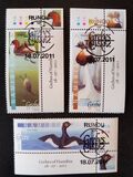 [Birds - Grebes of Namibia, type AAJ]