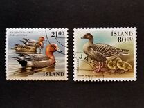[Birds - Ducks, тып RP]