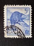 [National Wildlife Week, タイプ GQ]