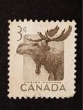 [National Wildlife Week, Tip GN]