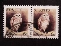 [Birds, Scrivi AB]