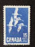 [Canada Geese, type JI]