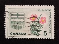 [Provincial Badges, Typ JR]