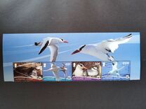 [WWF - Birds. Without White Frame, type ANI1]