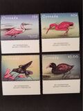 [Birds of Grenada, type ELI]