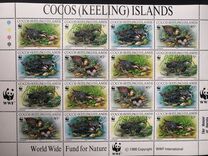 [Birds - Endangered Species - Buff-banded Rail, tegund JG]