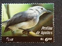 [Birds of Peru, jenis BHS]