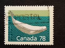 [Canadian Mammals, type AOK]