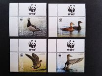 [World Wildlife Fund - Endangered Ducks, тып AMR]