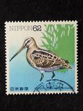 [Water Birds - Latham's Snip & Brown Booby, type CHE]