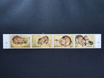 [Indigenous Fauna, 類型 RE]