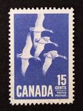 [Canada Geese, type JI]