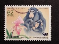 [The 8th Conference of Parties to Convention on International Trade in Endangered Species, Kyoto City, type CIT]
