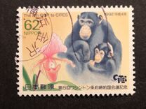 [The 8th Conference of Parties to Convention on International Trade in Endangered Species, Kyoto City, type CIT]