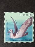 [Water Birds - White-faced shearwater & Ruddy kingfisher, 유형 CJS]