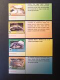 [WWF - Philippine Crocodile, type JAG]