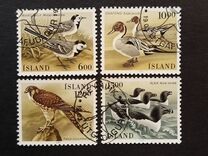 [Birds, type OZ]