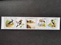 [Migratory Birds, type CQL]