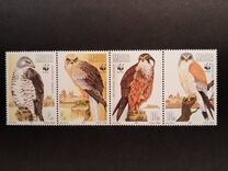 [Birds of Prey - WWF, typ XE]