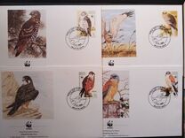 [Birds of Prey - WWF, typ XE]