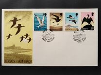 [Seabirds, 유형 CQ]