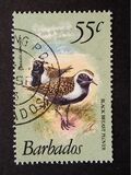 [Birds, 类型 OH]