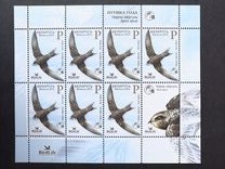 [Bird of the Year - Black Swift, type AFN]