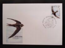 [Bird of the Year - Black Swift, type AFN]