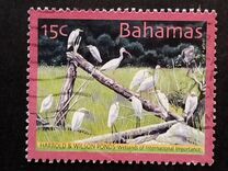 [Wetlands - Harrold and Wilson Ponds, New Providence Island, type ANS]