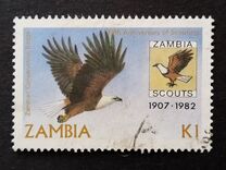 [International Scouting Year, tip IQ]