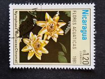 [Aquatic Flowers, typ BCI]