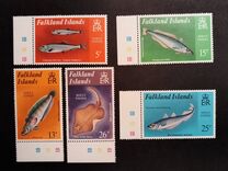 [Shelf Fish, տեսակ JE]