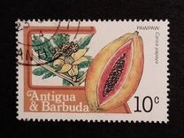 [Fruits and Flowers, Вид BY]