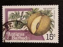 [Fruits and Flowers, Вид BZ]