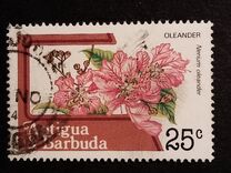 [Fruits and Flowers, Вид CB]