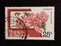 [Fruits and Flowers, Вид CB]