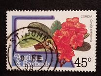 [Fruits and Flowers, Вид CE]