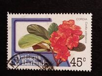 [Fruits and Flowers, Вид CE]